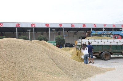 湖南省全面啟動(dòng)早稻收購(gòu)，推廣預(yù)約收購(gòu)新模式